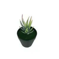 Primrue 5.5" Artificial Succulent Plant in Pot