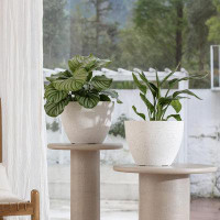 Latitude Run® 11.3 inch Garden Plant Pots Tree Planter for Patio, Deck,Garden,Speckled ,Set of 2