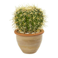Ebern Designs Cactus Succulent in Planter