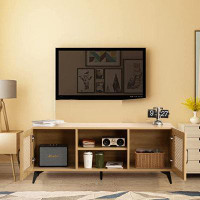 Bay Isle Home™ TV Cabinet With Rattan Net