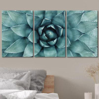 IDEA4WALL IDEA4WALL - 3 Piece Canvas Wall Art - Sharp Pointed Agave Plant Leaves - Modern Home Art Stretched And Framed