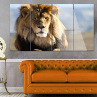 Made in Canada - Design Art 'Fierce Face of King of the Wild' 4 Piece Photographic Print on Metal Set