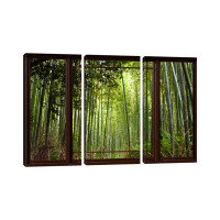 Millwood Pines Bamboo Forest Window View