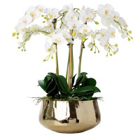Vivian Rose Orchid Floral Arrangements in Planter