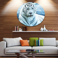 Made in Canada - Design Art 'Silver Tiger with Water Background' Photographic Print on Metal