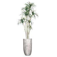 Vintage Home 94"H Vintage Real Touch Dragon Tree, Indoor/ Outdoor, In Pot With Rope Basket (38X38x74"H)