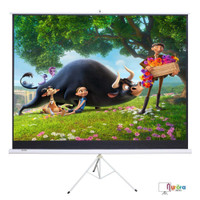 NEW 100 IN PROJECTION SCREEN 16;9 TRIPOD PULL UP TS100