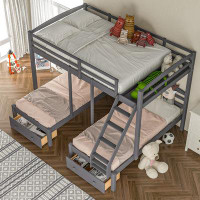 Red Barrel Studio Twin Over Full Bunk Bed With Ladder