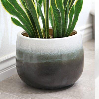Wrought Studio Kossivi Ceramic/Glaze Pot Planter