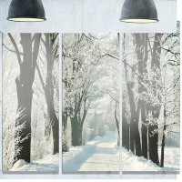 Design Art 'Country Road Between Foggy Trees' Photograph Multi-Piece Image on Metal