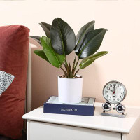 Primrue Artificial Bird Of Paradise Palm Plant 16 Inch Fake Potted Desk Plant For Indoor Decoration Perfect Housewarming