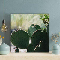 Foundry Select Green Cactus Plant 15 - 1 Piece Square Graphic Art Print On Wrapped Canvas