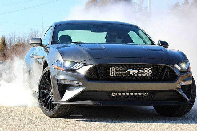 2015-2017 Ford Mustang GT +250hp Bolt-On Supercharger Complet Kit Procharger P1SC Intercooled System in Engine & Engine Parts - Image 2