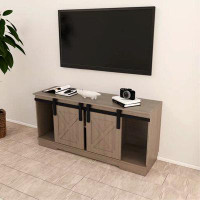 Gracie Oaks TV Stand with Sliding Barndoors