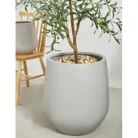 Ebern Designs Fion Pot Planter