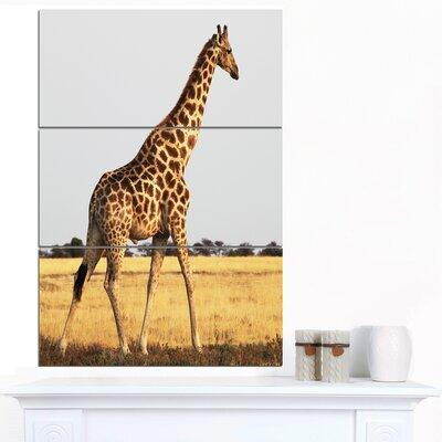 Made in Canada - Design Art 'Single Giraffe in Africa Walking' 3 Piece Photographic Print on Wrapped Canvas Set in Arts & Collectibles