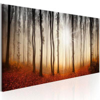 Millwood Pines Stretched Canvas Landscape Art - Autumnal Fog