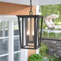 Lark Manor Amreet 2 -Bulb 17.5" H Outdoor Hanging Lantern
