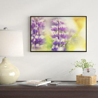 East Urban Home 'Beautiful Close Up of Blue Lupin Flowers' Framed Photographic Print on Wrapped Canvas