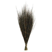 Primrue Primrue 15-20" Short Stem Natural Bell Grass. Comes In 10Oz (2 -5Oz Bundles), Preserved