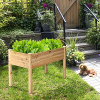 Arlmont & Co. Caiden Wood Elevated Planter