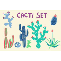 Trinx Cactus And Succulent Plants