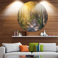 Design Art 'Thick Forest with Yellow Sun Rays' Photographic Print on Metal