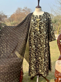 Pakistani Fancy 3 pc collection/latest salwar kameez