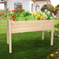 Arlmont & Co. Wood Elevated Planter Raised Garden Bed