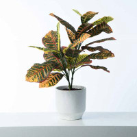 Primrue Artificial Foliage Plant in Pot