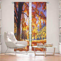 East Urban Home Lined Window Curtains 2-Panel Set For Window From East Urban Home By David Lloyd Glover - Sunlight Throu