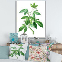 East Urban Home Vintage Green Leaves Plants V - Traditional Canvas Wall Art Print FL35468