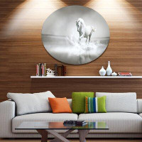 Made in Canada - Design Art 'White Horse Running in Water' Graphic Art Print on Metal