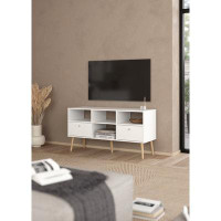 Wade Logan Bridey TV Stand for TVs up to 50"