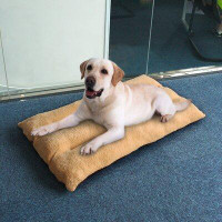Tucker Murphy Pet™ Large Pet Dog Bed Soft Warm Washable Cushion Pillow Mattress Puppy Mat