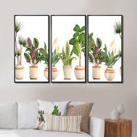 Design Art Trio Of Houseplants Sanseviera Snake Plant - Farmhouse Framed Canvas Wall Art Set Of 3