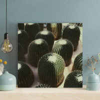 Foundry Select Green Cactus Plants On Grey Sand - Wrapped Canvas Painting