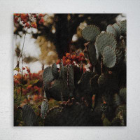 Dakota Fields A Cactus With Branches Near Other Plants - 1 Piece Square Graphic Art Print On Wrapped Canvas