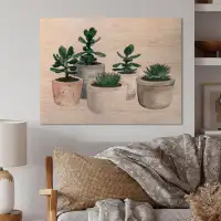 Bungalow Rose Cactus And Succulent House Plants VI - Farmhouse Wood Wall Art - Natural Pine Wood