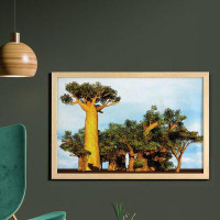 East Urban Home Ambesonne Exotic Wall Art With Frame, Baobab Trees Oriental Flora Photography Indigenous Plants, Printed
