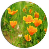 Made in Canada - Design Art 'Bright Yellow Poppy Flowers' Photographic Print on Metal