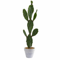 Primrue 31" Artificial Cactus Plant in Pot