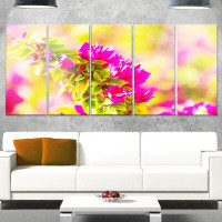 Made in Canada - Design Art 'Beautiful Pink Bougainvillea Flowers' 5 Piece Photographic Print on Metal Set