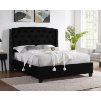 House of Hampton 1Pc Contemporary Style Upholstered Fabric Button Tufting Nailhead Trim Demi-Wings Eva Bed Black Finish
