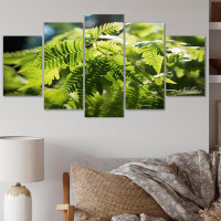 Bay Isle Home™ Ferns Plant Dappled Sunlight - Floral Canvas Print - 5 Panels