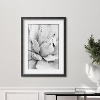 wall26 Succulent Serenity Agave Plant in Monochrome Illustration Relax/Calm Warm Artwork