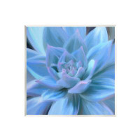 Stupell Industries Stupell Industries Blue Plant Petals Wall Plaque Art Design By Amy Hall