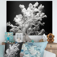 Highland Dunes Black And White Coral Plant I - Beach & Ocean Canvas Print
