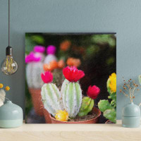 Dakota Fields Cactus Plant 22 - 1 Piece Square Graphic Art Print On Wrapped Canvas