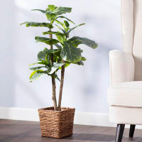 Sand & Stable™ 38.00'' Artificial Mini Fiddle Leaf Fig Tree in Basket